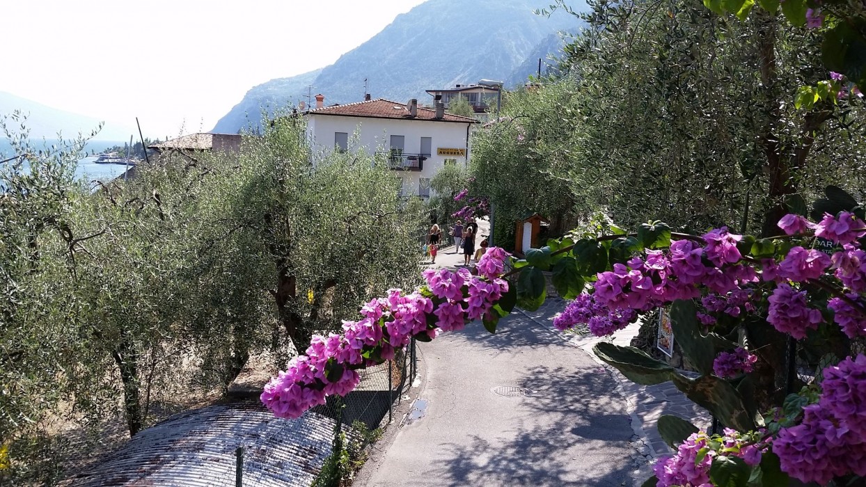 hotel augusta garni