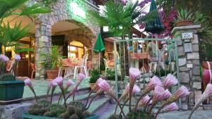 hotel augusta garni