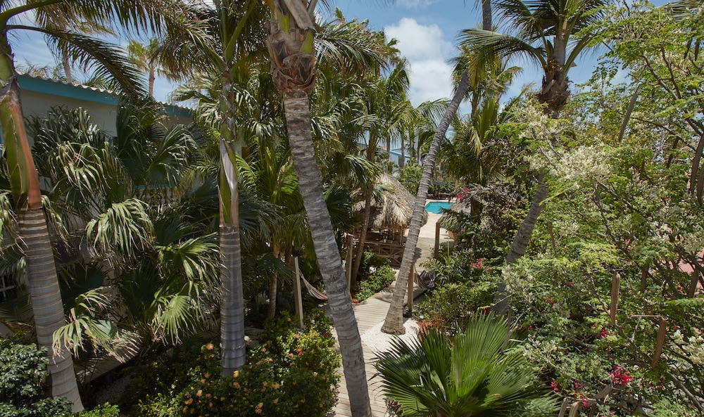 paradera park aruba