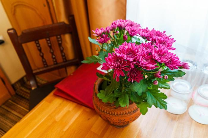 hotel avion self check in