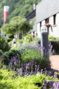 floreal la roche en ardenne