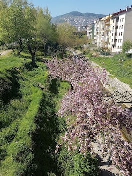 bursa