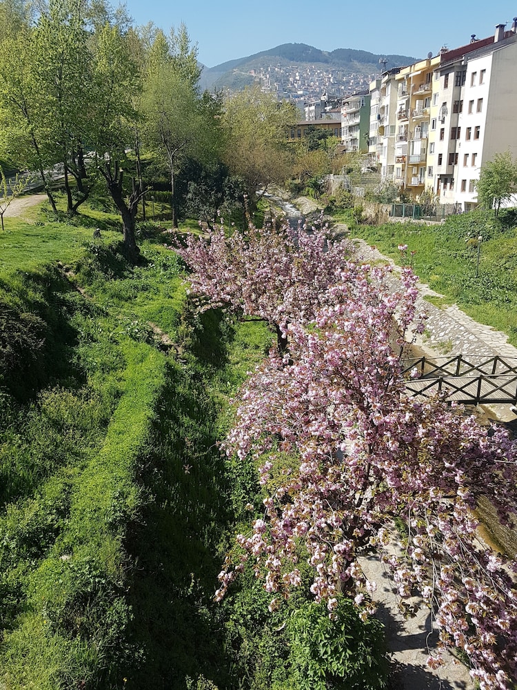 bursa