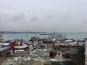 cheers vintage hostel