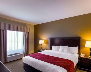 comfort suites university