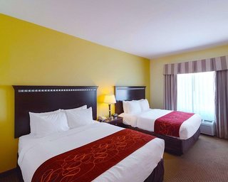 comfort suites university