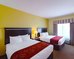 comfort suites university