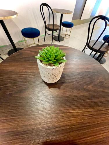 europa melbourne hostel