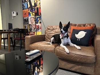 avani melbourne jazz corner residences