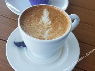 ibis brisbane airport hotel