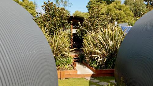 43 degrees bruny island