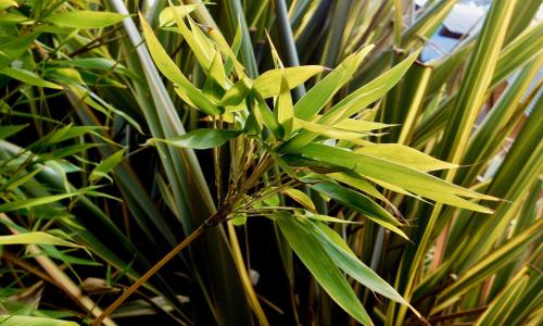 43 degrees bruny island