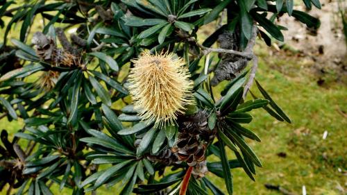 43 degrees bruny island