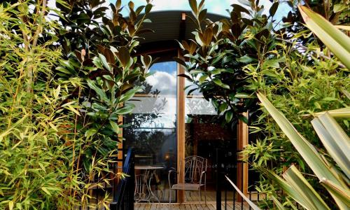 43 degrees bruny island