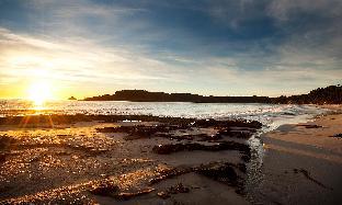 43 degrees bruny island