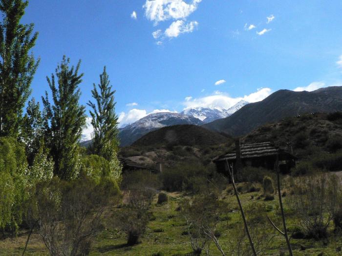 potrerillos
