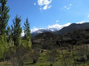 potrerillos
