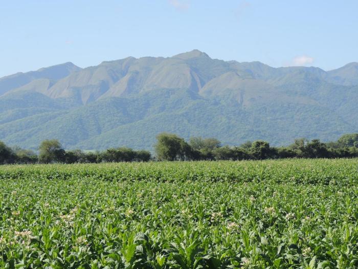 finca las margaritas