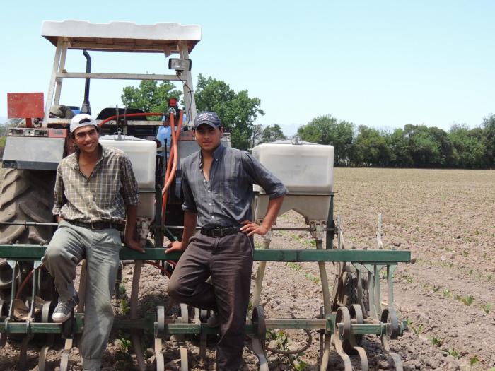 finca las margaritas