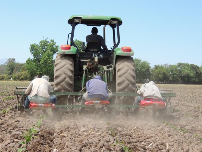 finca las margaritas