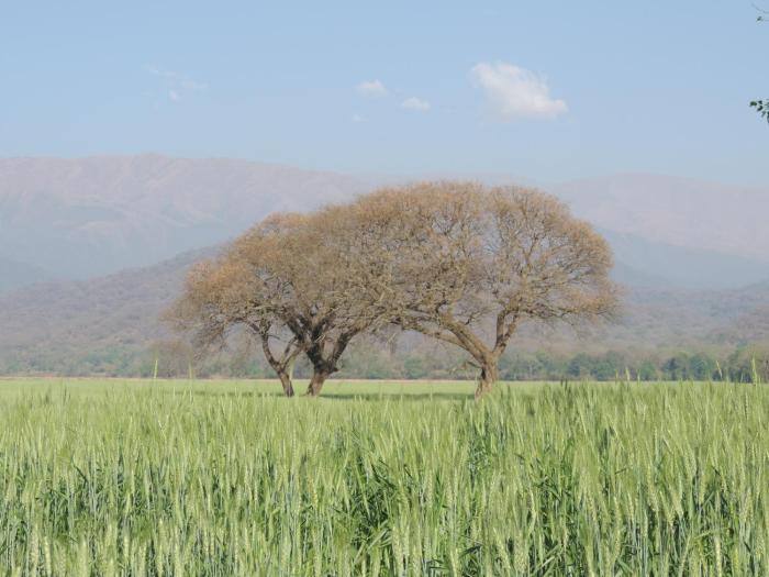 finca las margaritas