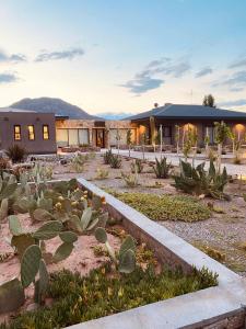 Chañarmuyo Casa De Huéspedes,In Famatina,3 star