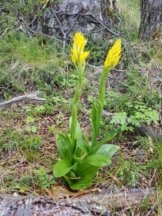 puesto cagliero refugio de montana