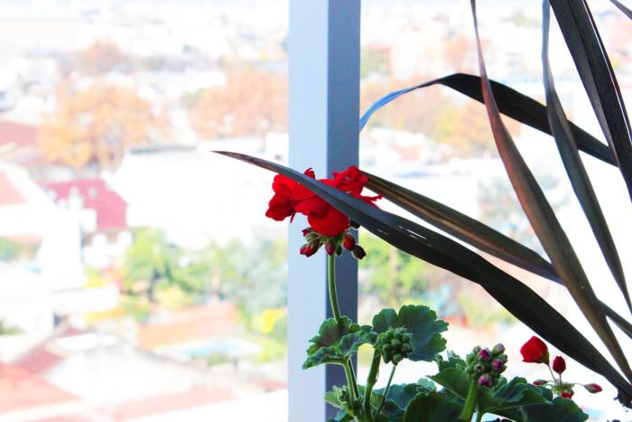 hotel boutique devoto