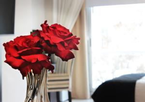 hotel boutique devoto