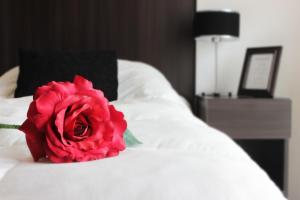 hotel boutique devoto