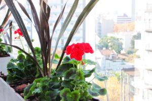 hotel boutique devoto