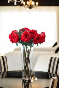 hotel boutique devoto