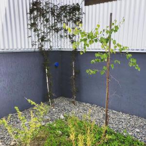 folk hostel