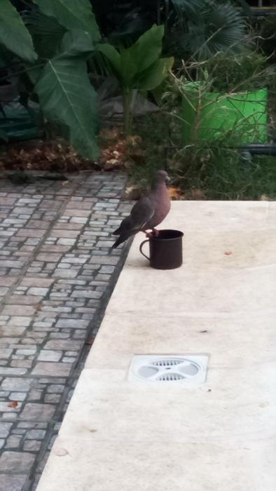 casa marina argentina