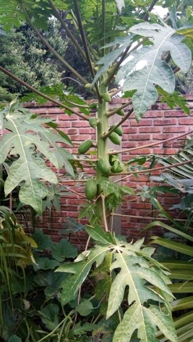 casa marina argentina