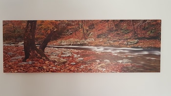 markopoulo mesogaias