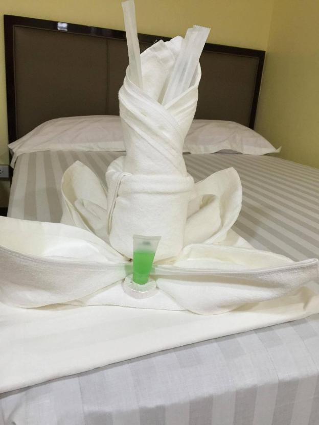 meaco royal hotel plaridel