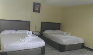 meaco royal hotel plaridel