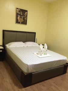 meaco royal hotel plaridel