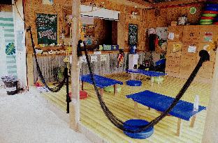 Malapascua Budget Inn,Central Visayas>>Cebu,2 star