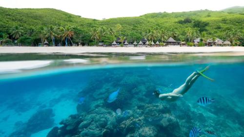octopus resort