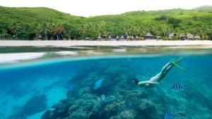 Octopus Resort,Lautoka>>Kuata Island,4 star