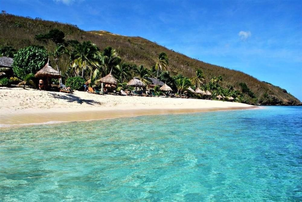octopus resort