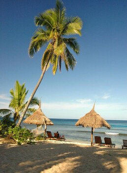 octopus resort