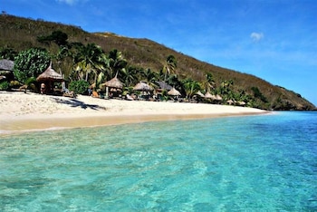 octopus resort