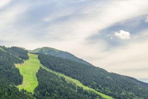 apartamentos prat de les molleres