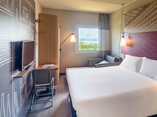 ibis guaiba