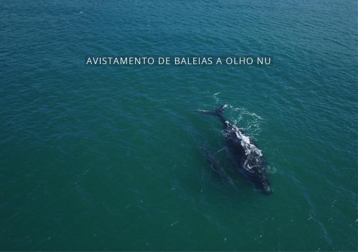 village praia do rosa