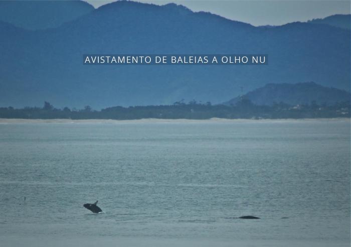 village praia do rosa