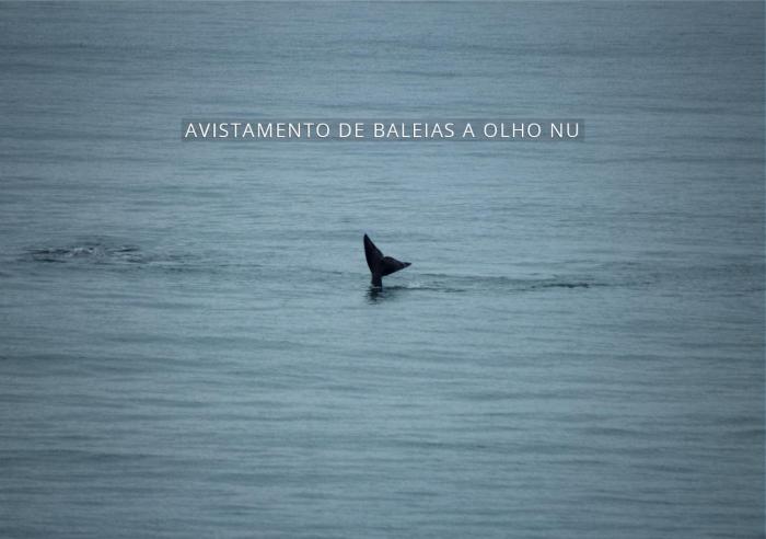 village praia do rosa